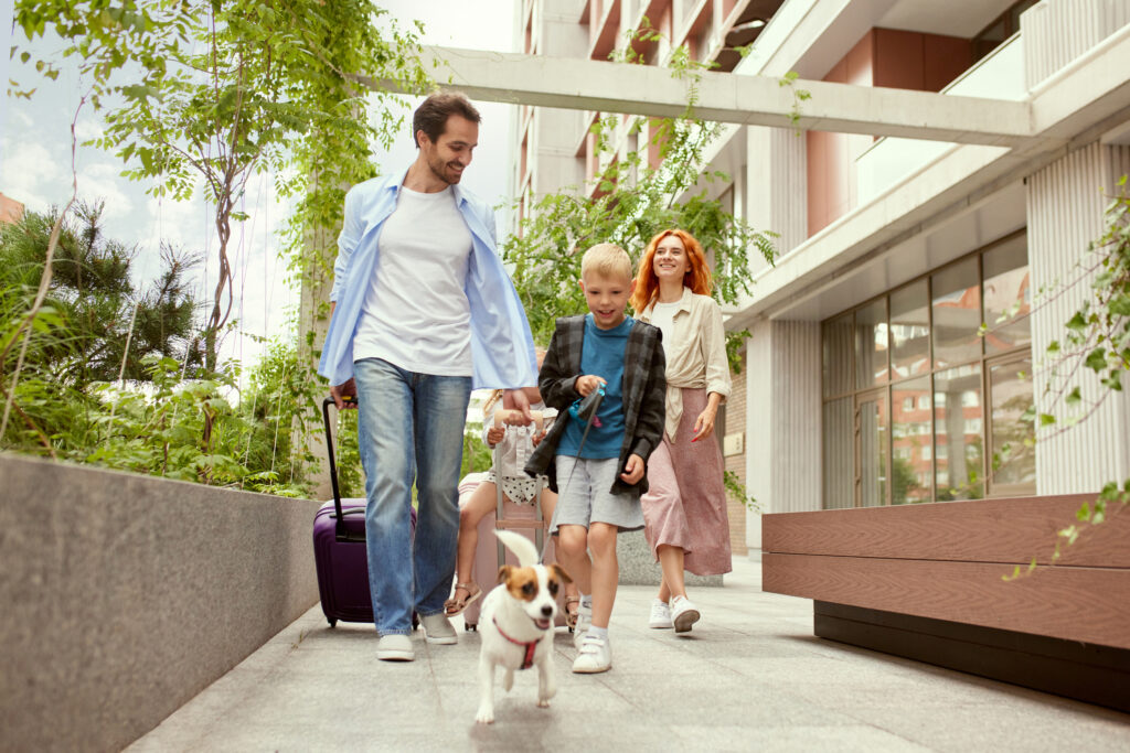 Pet Friendly Stays