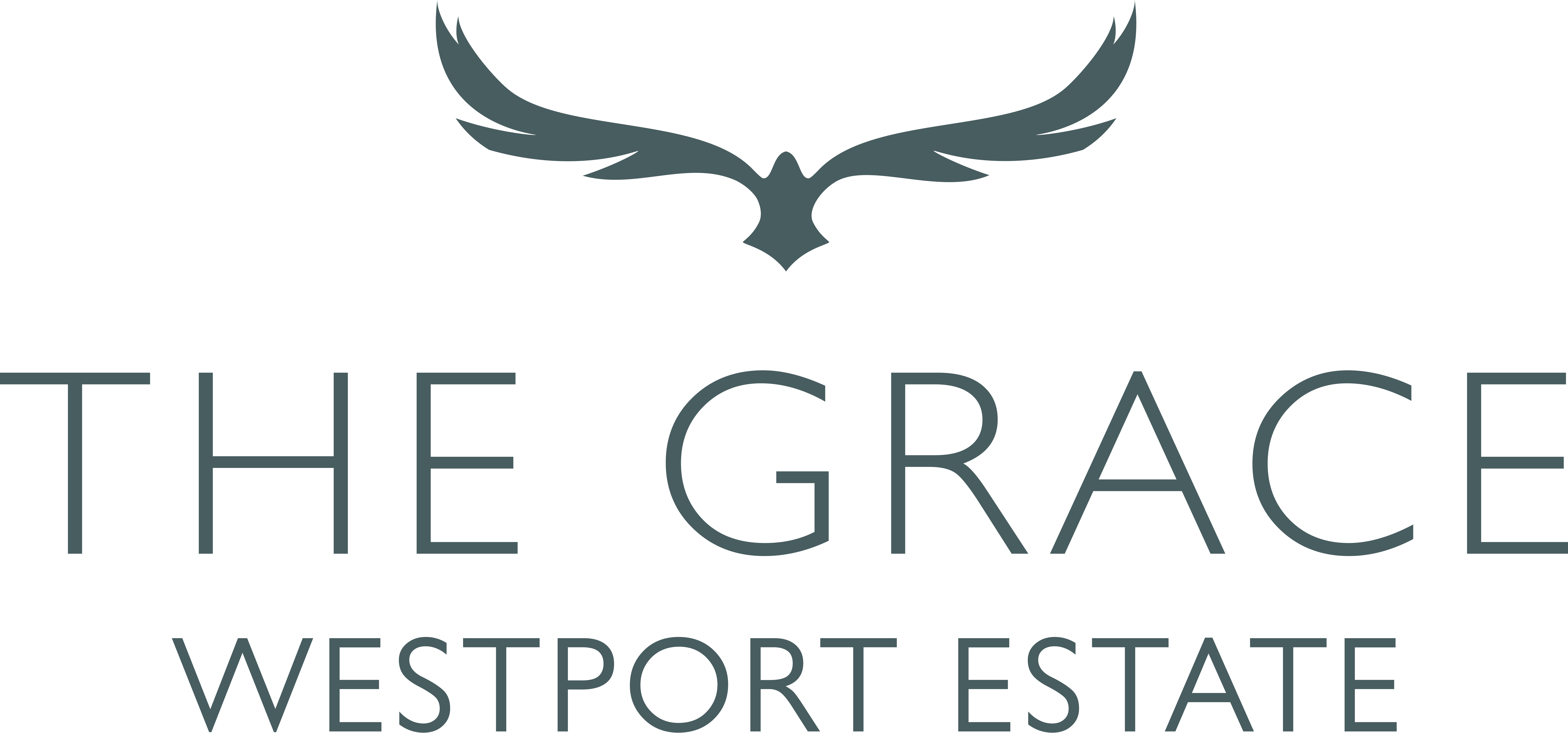 TheGrace WE Book RGB 485D60