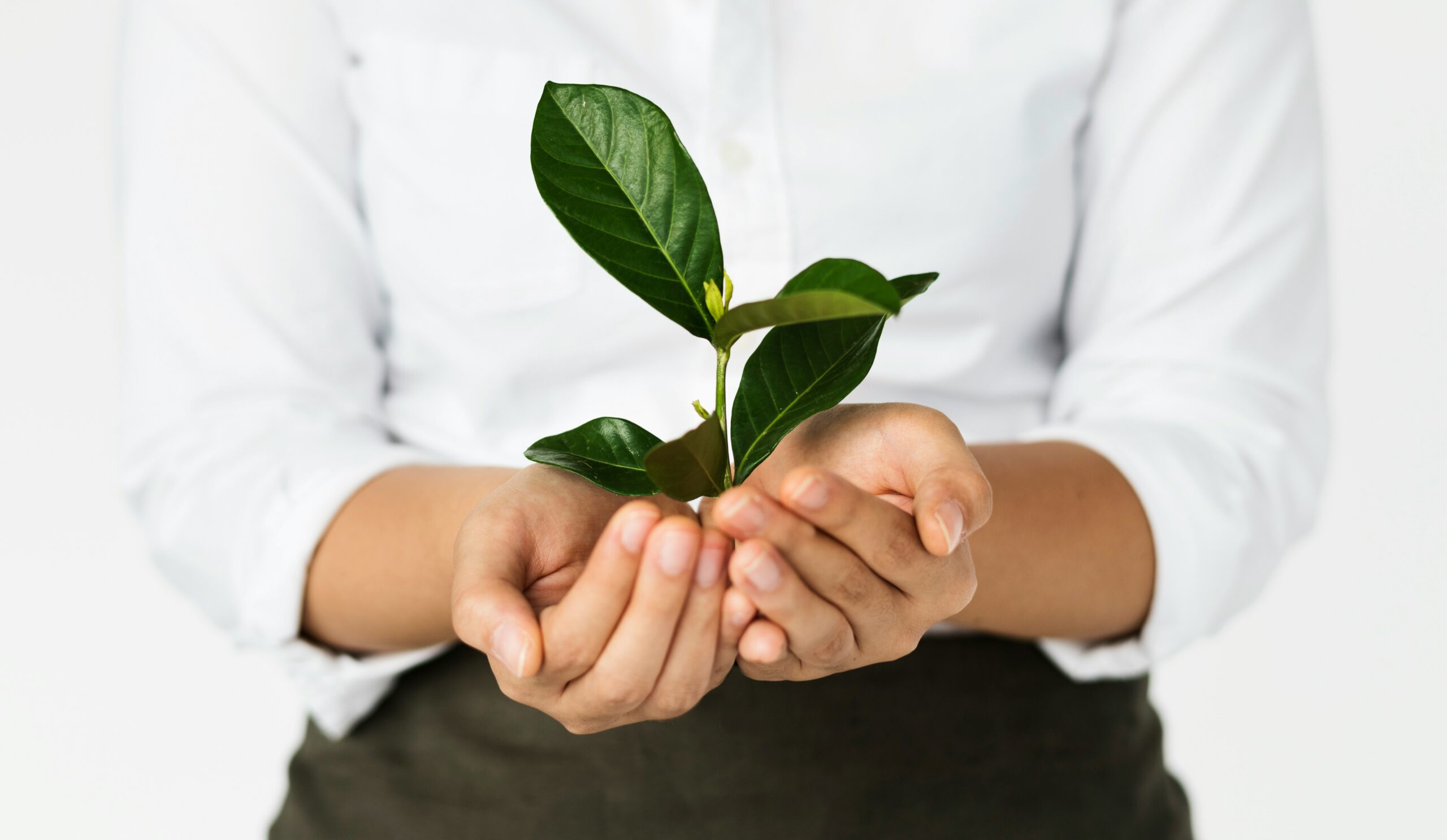 What is hotel sustainability?